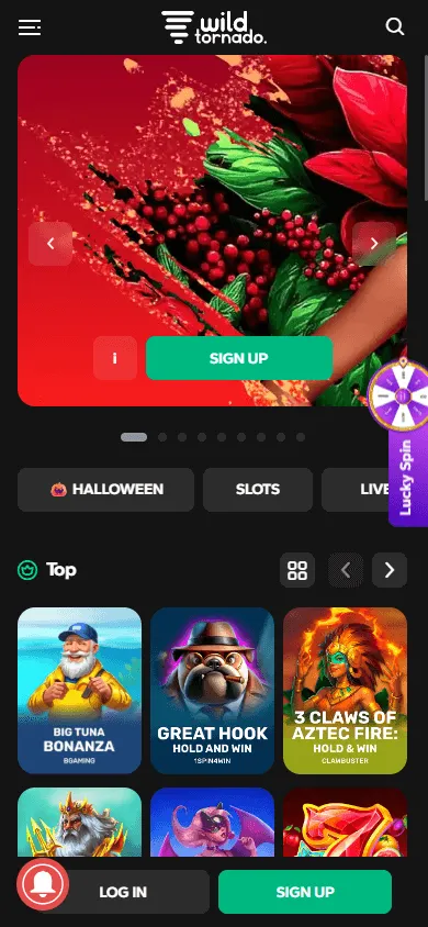 Wild Tornado Casino mobile home interface